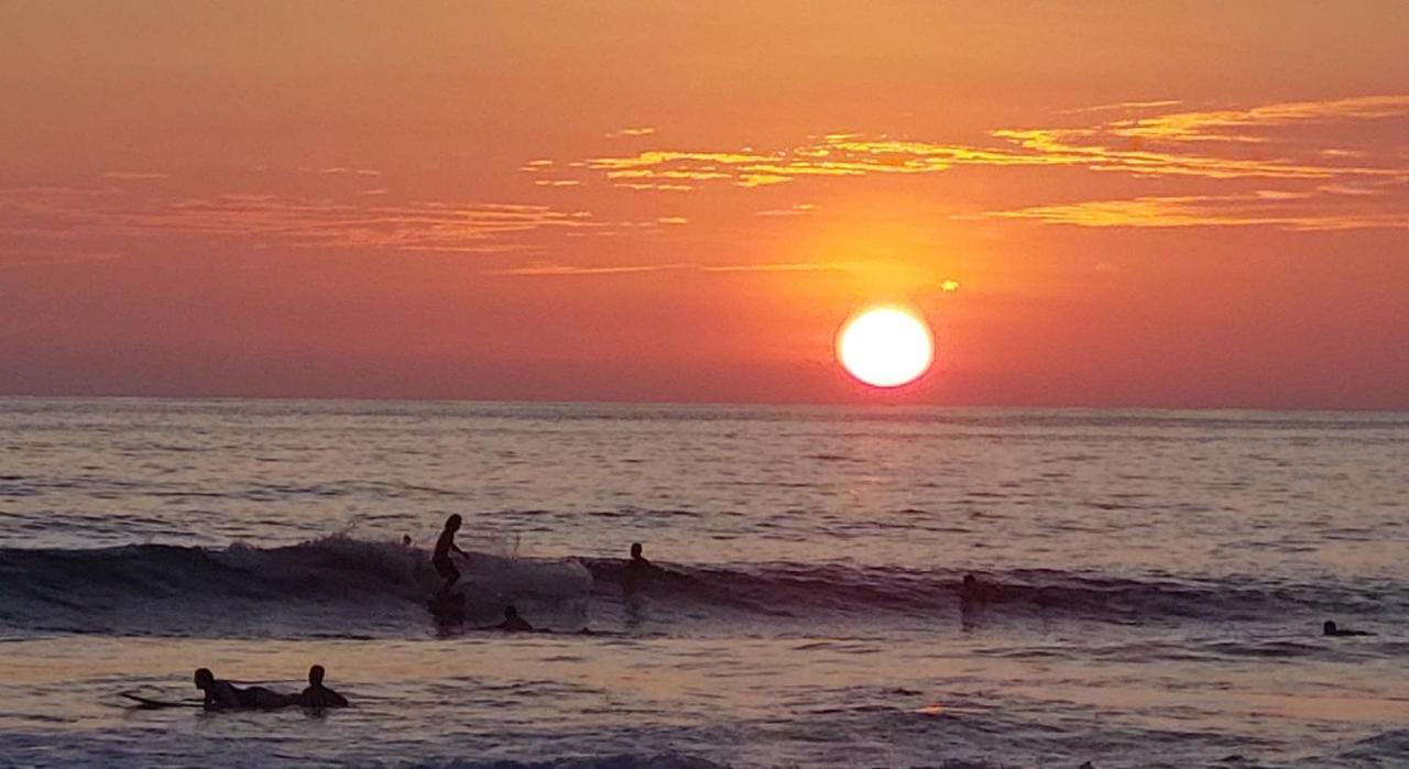 Cocobolo Surf Hotel & School Playa Santa Teresa  エクステリア 写真