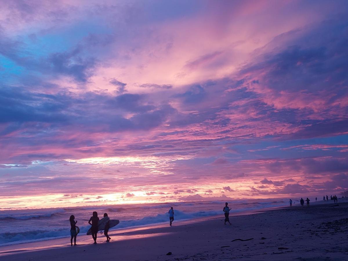Cocobolo Surf Hotel & School Playa Santa Teresa  エクステリア 写真
