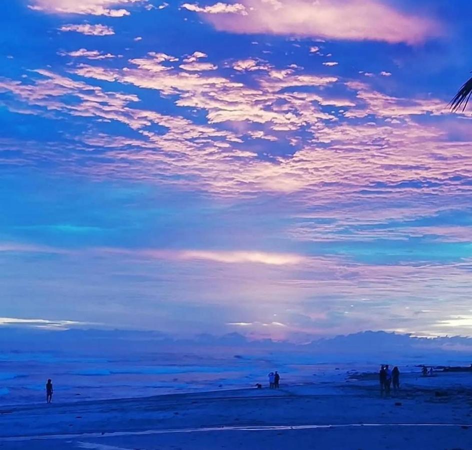 Cocobolo Surf Hotel & School Playa Santa Teresa  エクステリア 写真