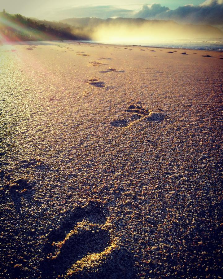 Cocobolo Surf Hotel & School Playa Santa Teresa  エクステリア 写真