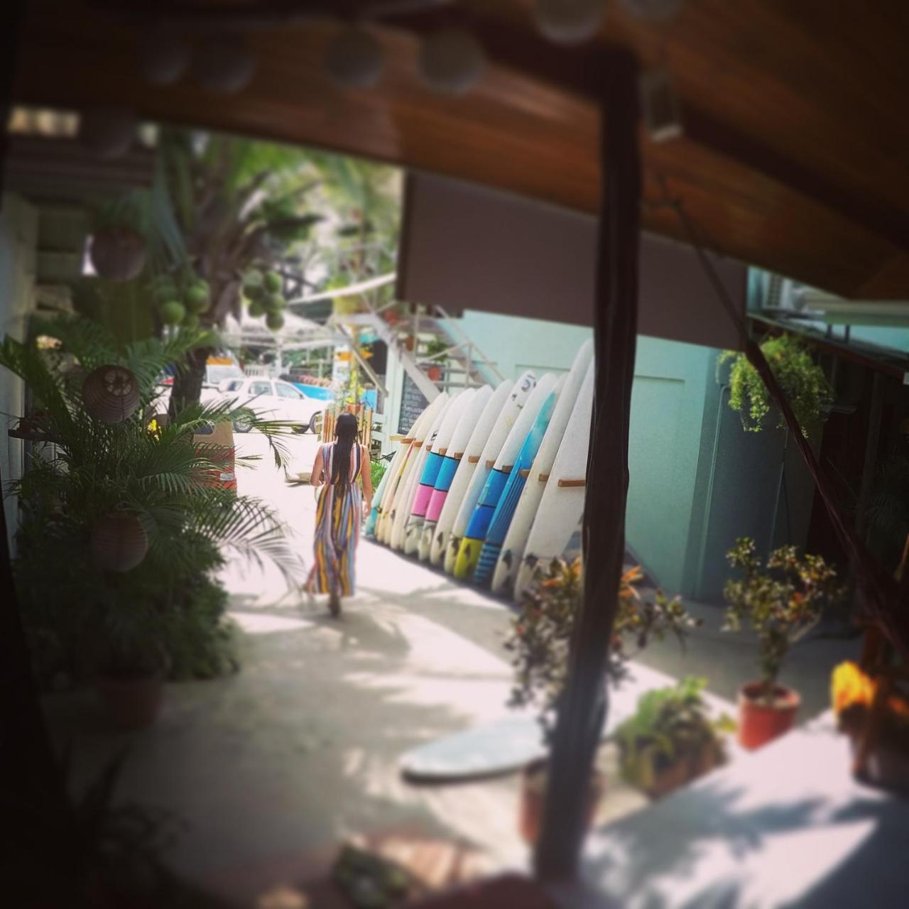 Cocobolo Surf Hotel & School Playa Santa Teresa  エクステリア 写真