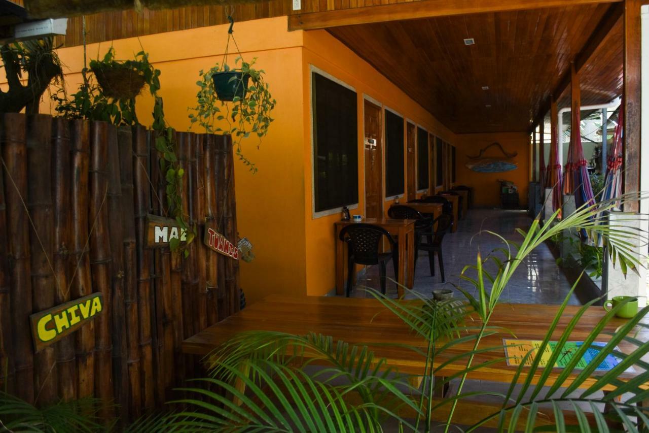 Cocobolo Surf Hotel & School Playa Santa Teresa  エクステリア 写真